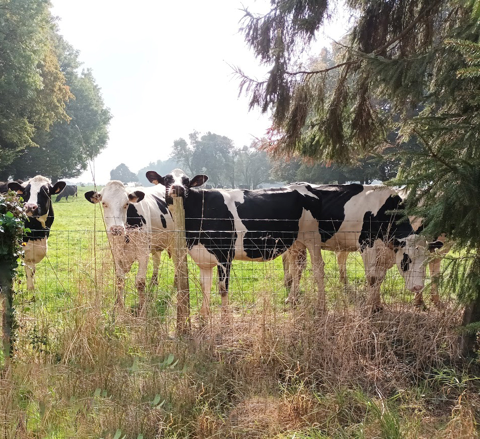 Fermette Marcel - Se connecter